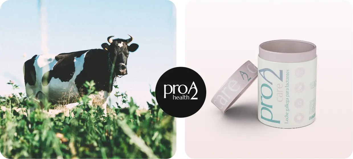 Leche gallega | Digma