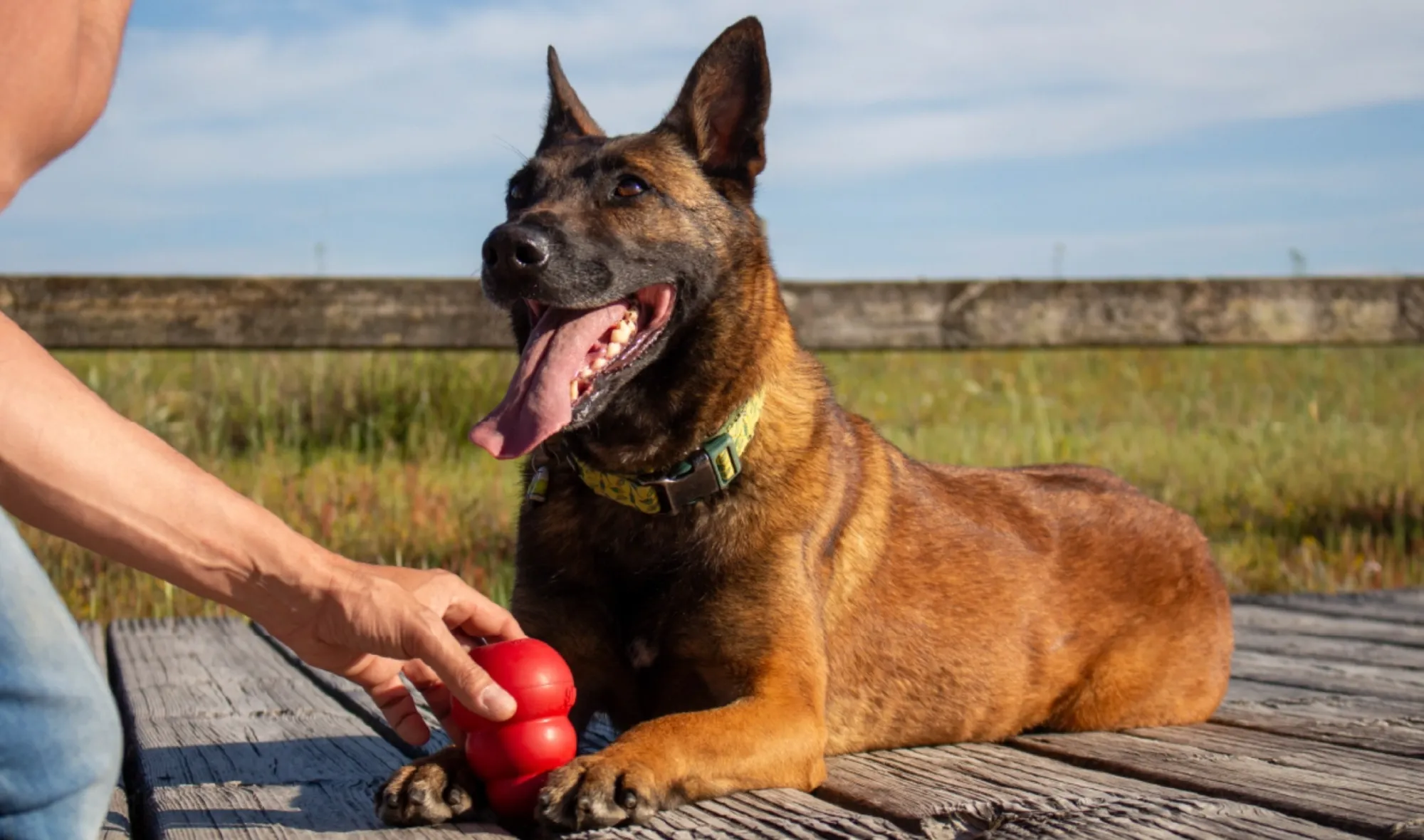 Video YowUp - Digma digital